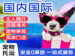 通化三源浦空运国际宠物托运 【国